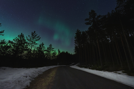 Forest road through the forest in spring at night with a starry sky and northern lights. High quality photo