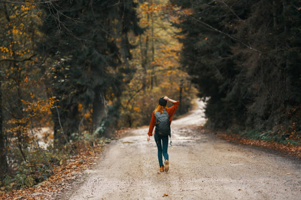 istock woman travels in autumn forest on the road landscape tall trees backpack model 2099320310