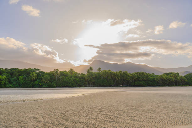 istock Background of an incredible tropical beach with sand and palm trees during sunset. Copy Space 2099334980
