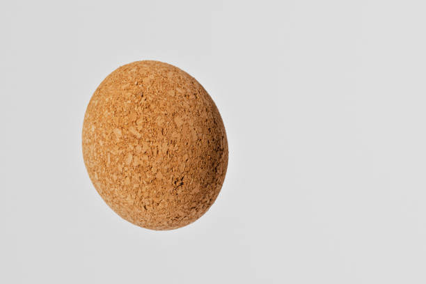istock Nice brown egg oval shape cork on the white gray background.Copy space. 2099339859