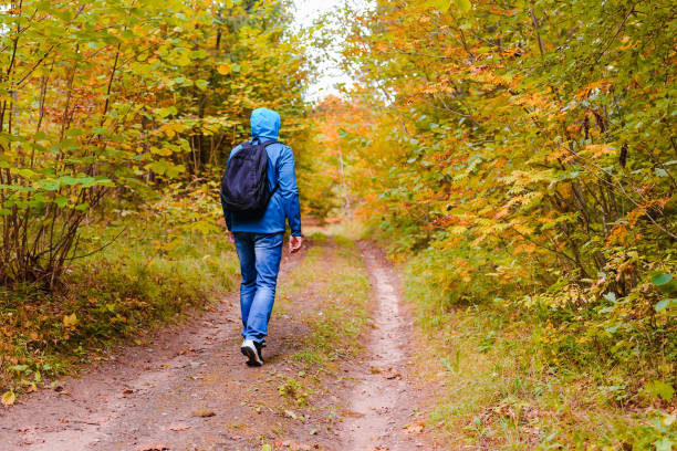 istock A young male hiking with a backpack.Man walks along the autumn forest path way.A healthy lifestyle in nature.Rear view. 2099352149