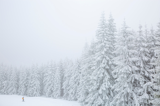 A white snowy mountain where fir trees meet the clouds and a snowboarder on a ski slope.