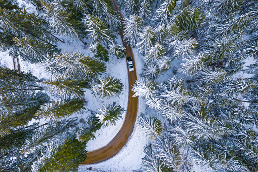 Aerial view of white car driving on a bent mountain road through the snowy pine forest.
