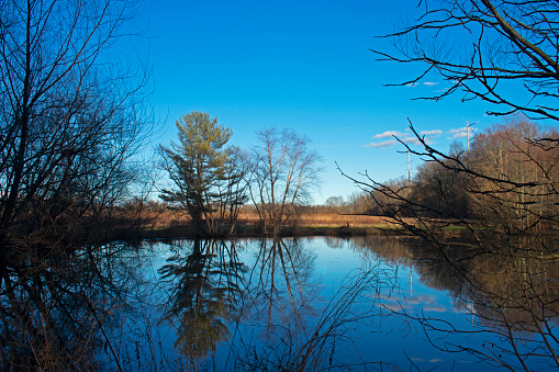 Idyllic scene view at small pond in Davidson's Mill Pond Park, South Brunswick, New Jersey, USA, in late winter