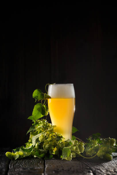 istock Glass of beer with hops around on a dark background 2099403426