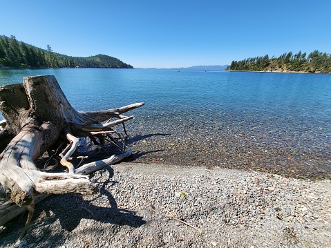 Flathead Lake Montana. Crystal clear water with stump landscape.
