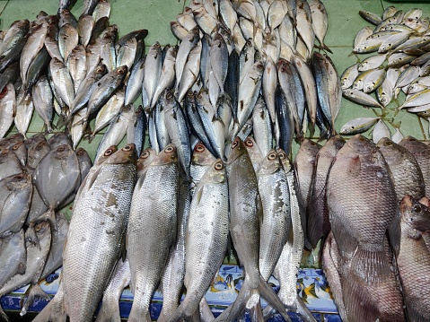 A pile of small and big sized raw fish for sale in a traditional market in Indonesia stock photo