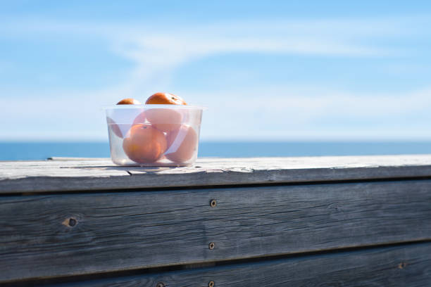 creative, minimalistic, colorful and funny front view of a to-go meal bowl of healthy tangerines on wooden shelf with sea background