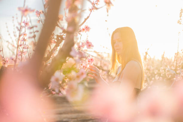 Sunny day in Aitona, peach fileds