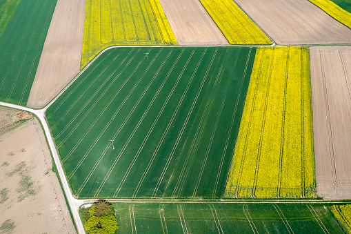 Aerial view of a green wheat field in spring on a beautiful sunny day, south-west Poland.