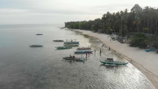 Aerial view of tropical white sand beach with boats, Siquijor, Philippines