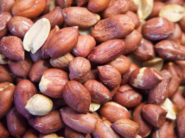 istock Heap of roasted peanuts, side view. Peanuts macro. Spanish Peanuts in pile 2099577014