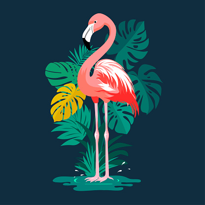 Vector illustration of boho style flamingo,tropical plants