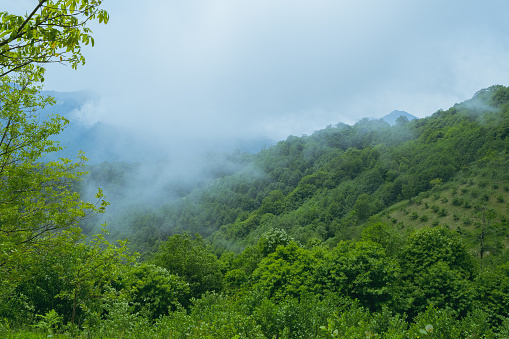 Beautiful summer mountain landscape. Clouds over green mountain forest. Natural background.