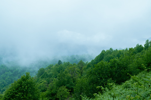 Beautiful summer mountain landscape. Clouds over green mountain forest. Natural background.