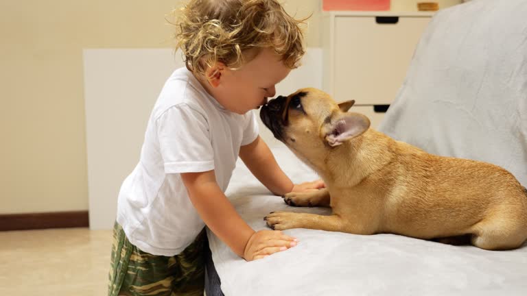 Little boy reaches for puppy lying on couch, attempting playful kiss on its nose