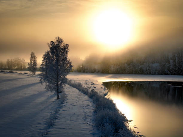 Sunlight filtering through clouds above a snowy forest lake