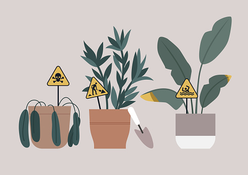 Urban Jungle Garden, Navigating Plant Care With Whimsical Road Sign Guidance, Potted indoor plants with playful icon metaphors for growth and care next to gardening tools