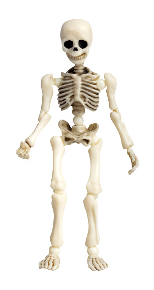 Isolated photo of toy skeleton figurine on white background.
