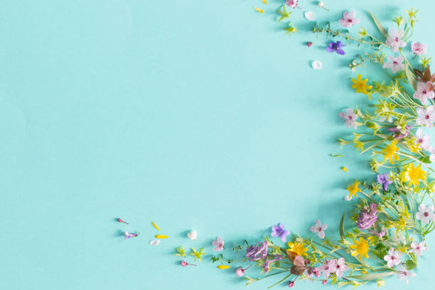 istock wild spring flowers on paper background 2099724602