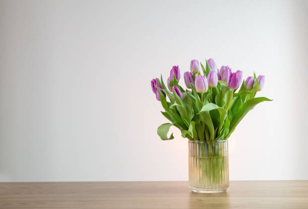 istock pink tulips in glass vase on white background 2099724605