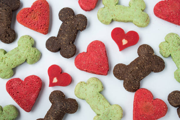 Biscoitos de cachorro de corações e ossos Muitos biscoitos de cachorro diferentes de corações e ossos em um fundo branco fotos de comida de cachorro, fotos e imagens livres de direitos