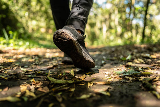 Low section of a man hiking on forest