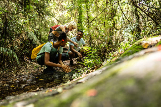 istock Friends looking the plants during hiking on forest 2099742770
