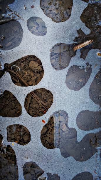istock Oil and Water puddle Freezing 2099747121