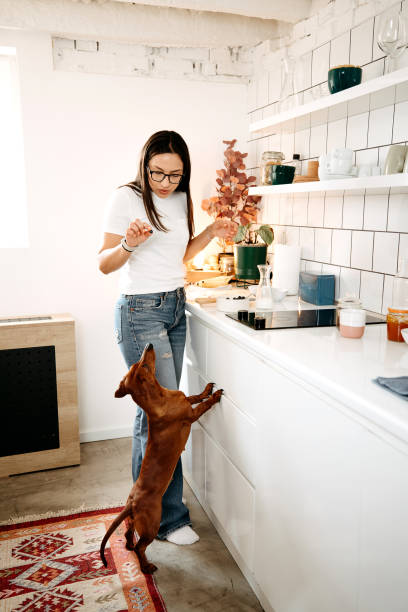 istock Woman and a dog in the kitchen 2099764340