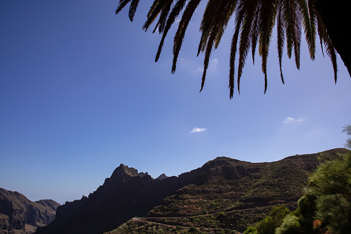 Palm tree branch with scenic view on narrow winding mountain road to remote village Masca, Teno mountain massif, Tenerife, Canary Islands, Spain, Europe. Steep rock formation Roque de la Fortaleza