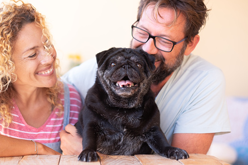 Beautiful middle aged couple man and woman in love share tender moment with their black pug dog. Forever friends. United and happy family.