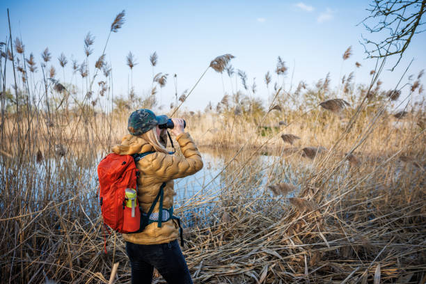 Bird watching. Female ornithologist with binoculars searching water birds