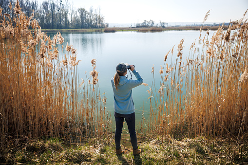 Birdwatching in nature. Woman with binoculars watching birds and animals at lake