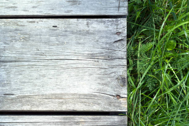 old wood weathered planks with green grass as a summer background