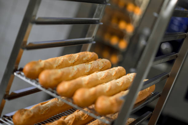 French baguettes on tray at bakery factory
