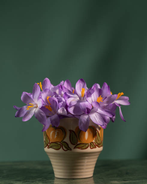 istock Creative layout with spring crocus flowers in vase on dark background.Spring minimal concept. 2099887865