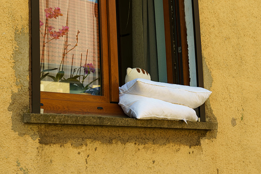 A white pillow sits on top of a window sill, bathed in natural light from the window.