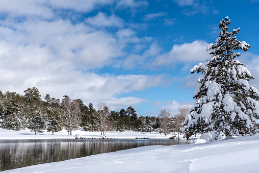 People don't normally think of Arizona as a place that gets much snow in the winter.  This scene of snow around the lake was photographed in Northern Arizona at the town of Flagstaff.  At 7000 feet elevation, snow falls often here in the winter, sometimes accumulating one to two feet at a time.