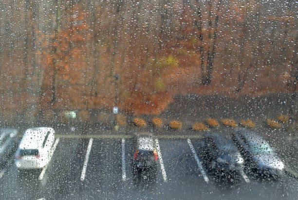 Autumn rain on window glass