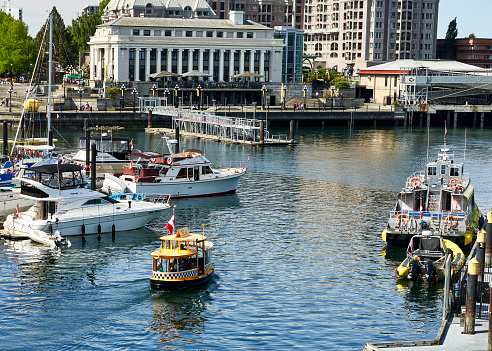 Victoria, Canada – June 09, 2023: A bright yellow harbor ferry traveling through the marina at the inner harbor, Victoria, BC.