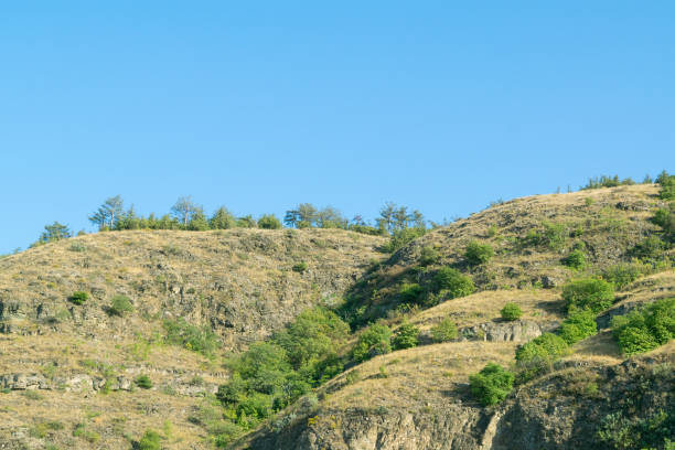 Rocky hills with sparse vegetation. Blue sky. Natural background. Natural landscape. Wallpaper.