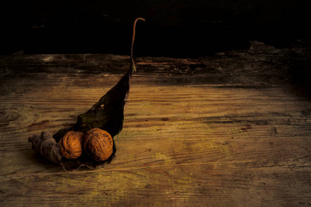 still life photography with food