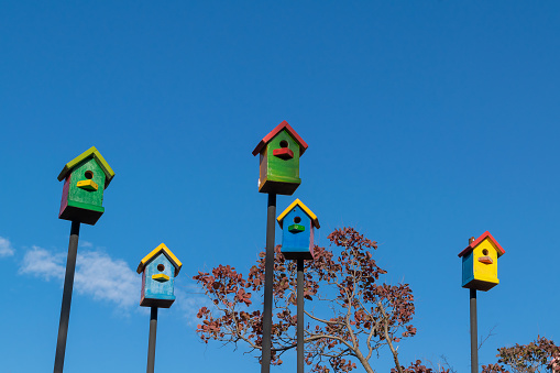 Multi-colored houses for birds. Birdhouses against the blue sky. Help the birds.