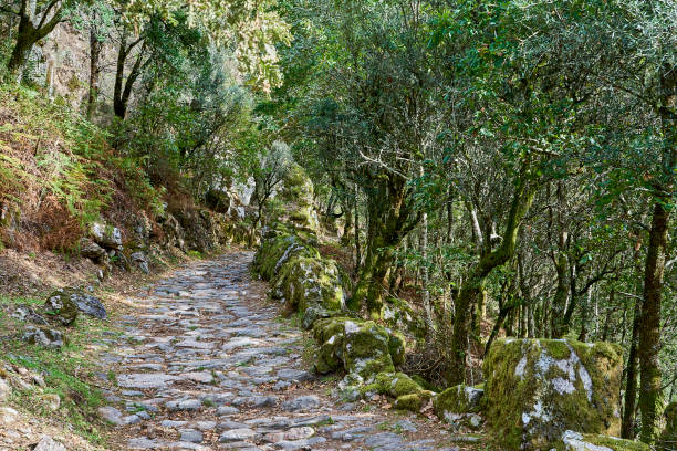 istock Ponte Mizarela, or Devils Bridge in Portugal. 2100028471