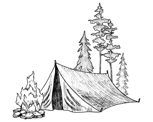Camp Tent and fire in a Forest. Vector illustration of camping, fireplace and trees in line art style. Etching of woodland landscape painted by black inks. Engraving for travel icon or logo.