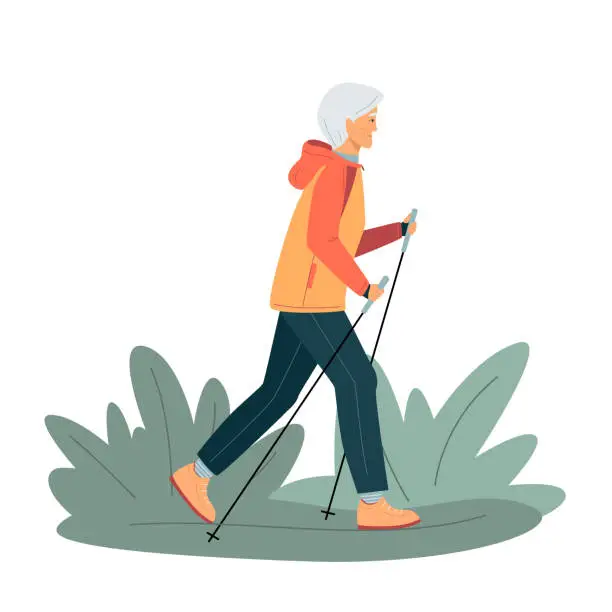 Vector illustration of Active energetic happy gray haired elderly woman practice nordic walking. Grandma sport workout Europe. Healthy women lifestyle.  Elder grandmother walking park.  Vector illustration isolated on white