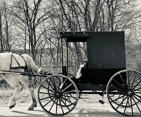 Amish buggy on rural Indiana road, and Morning Fog