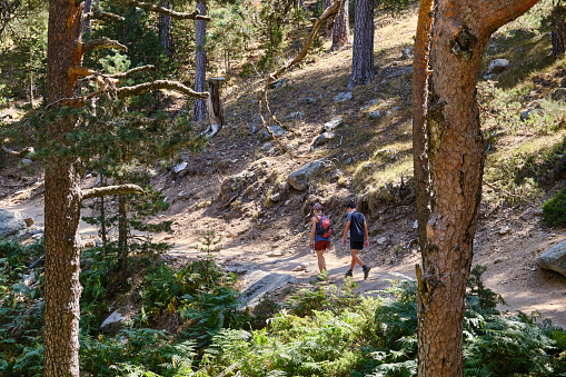 An intimate moment between a mother and her son as they walk along a tree-lined path in the forest, enjoying each other's company and the peace offered by nature.