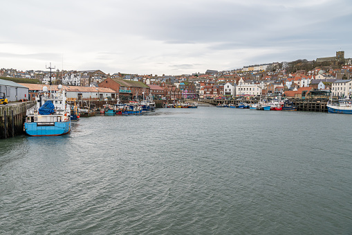 Commercial boats moored in Scarborough Harbour with the town behind, Yorkshire, England